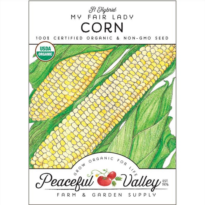  Organic  Corn  My  Fair  Lady 