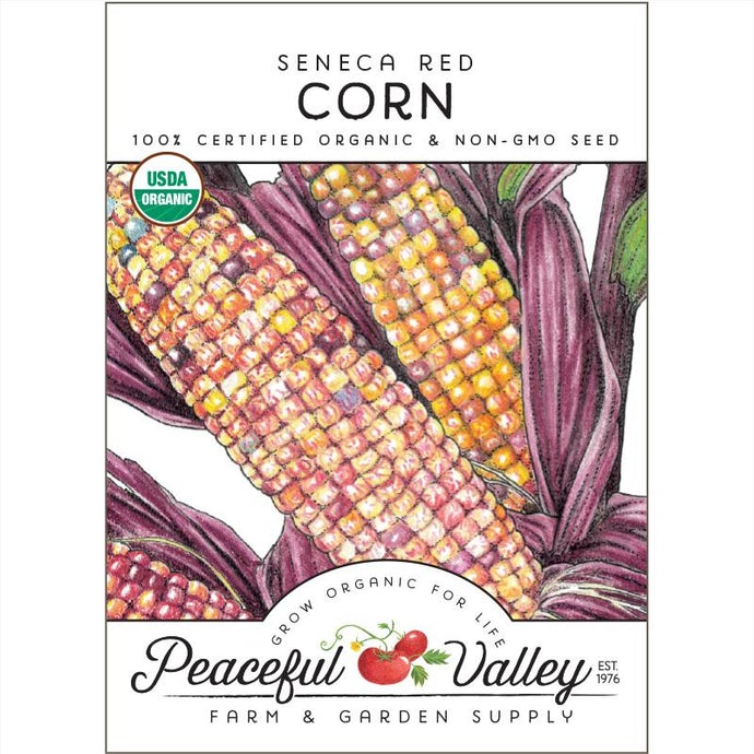  Organic  Corn  Seneca  Red 