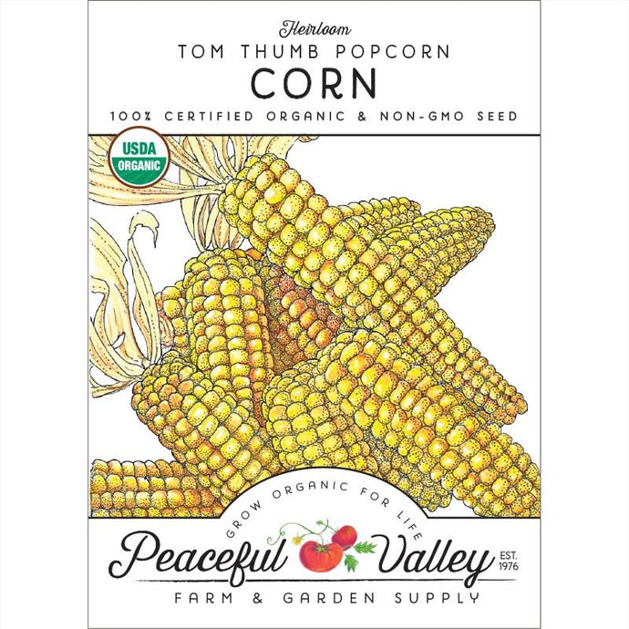  Organic  Corn  Tom  Thumb  Popcorn 