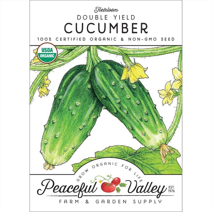 Organic Cucumber, Double Yield