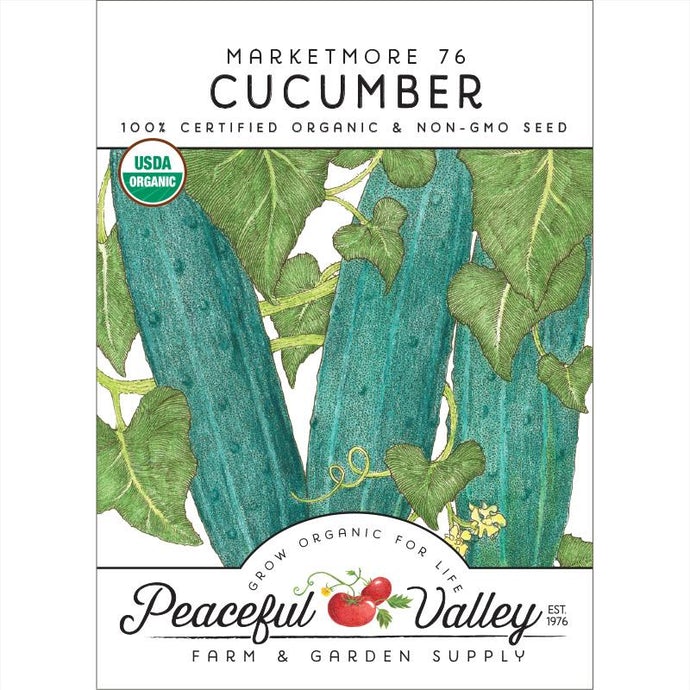 Organic Cucumber, Marketmore 76