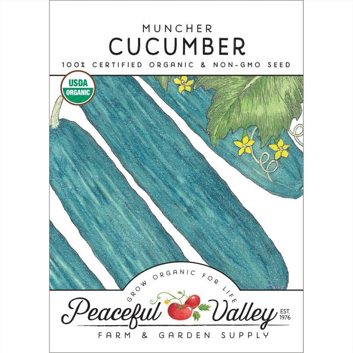 Organic Cucumber, Muncher