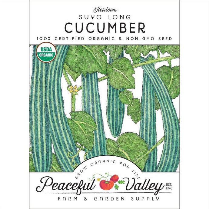 Organic Cucumber, Suyo Long