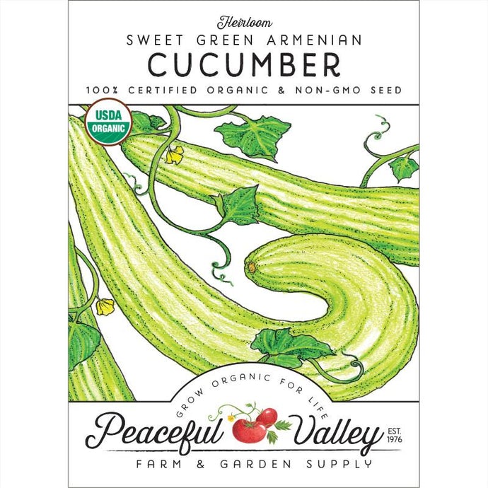 Organic Cucumber, Sweet Green Armenian