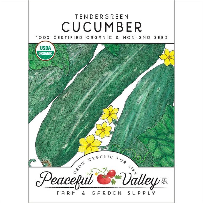  Organic  Cucumber  Tendergreen 