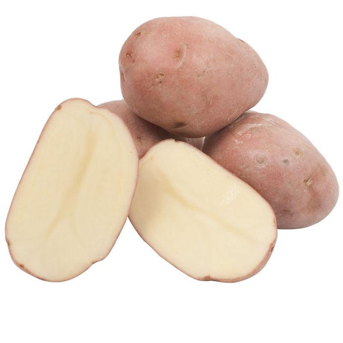 Organic Desiree Seed Potatoes (lb)