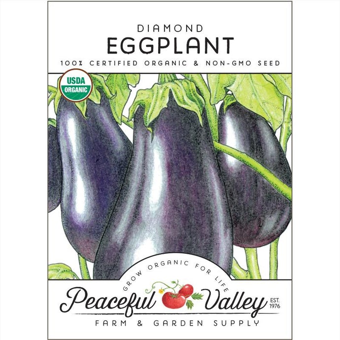  Organic  Eggplant  Diamond 