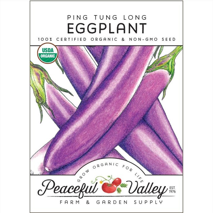  Organic  Eggplant  Ping  Tung  Long 