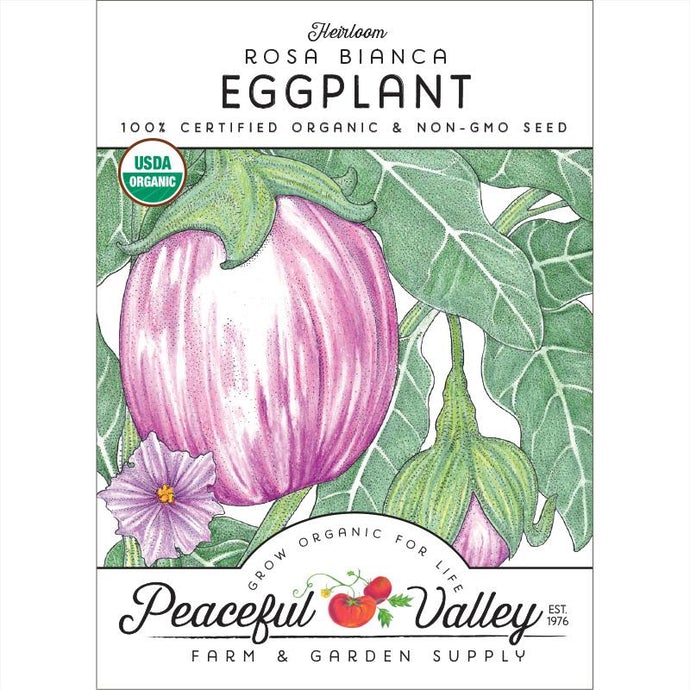 Organic Eggplant, Rosa Bianca