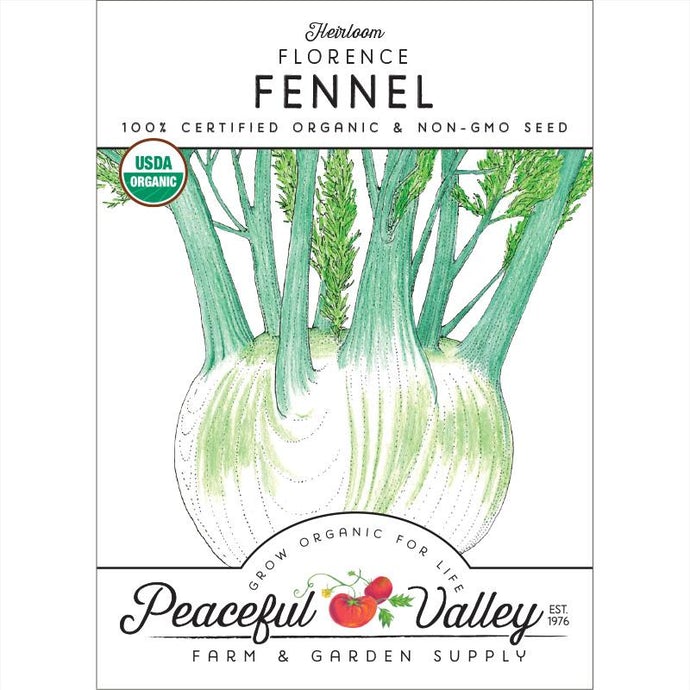  Organic  Fennel  Florence 