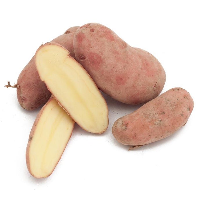 Organic French Fingerling Seed Potatoes (lb)