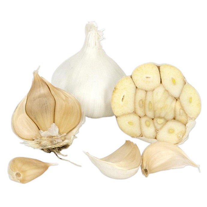  Organic  Garlic  Purple  Italian  (lb) 