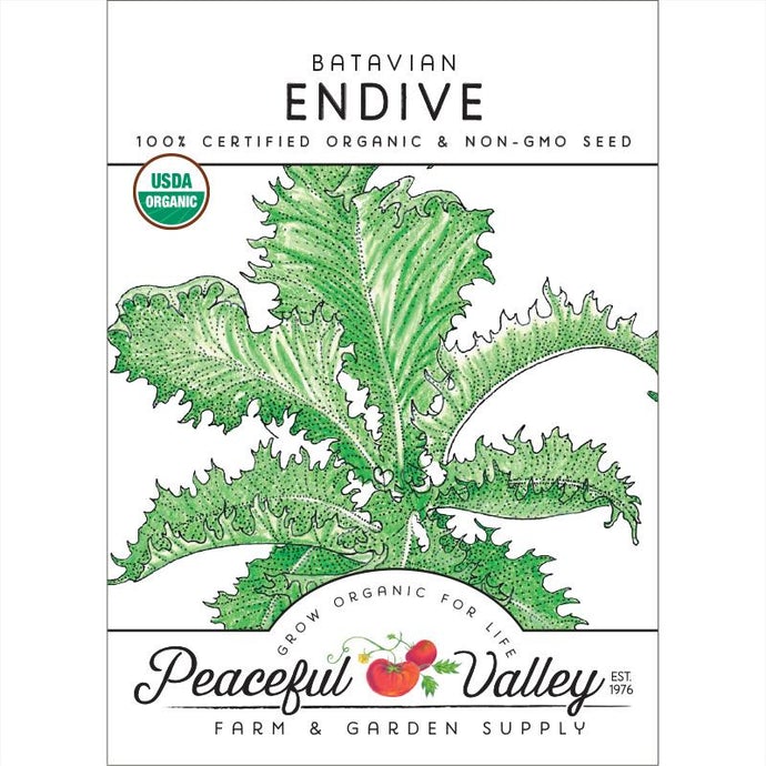  Organic  Greens  Endive  Batavian 