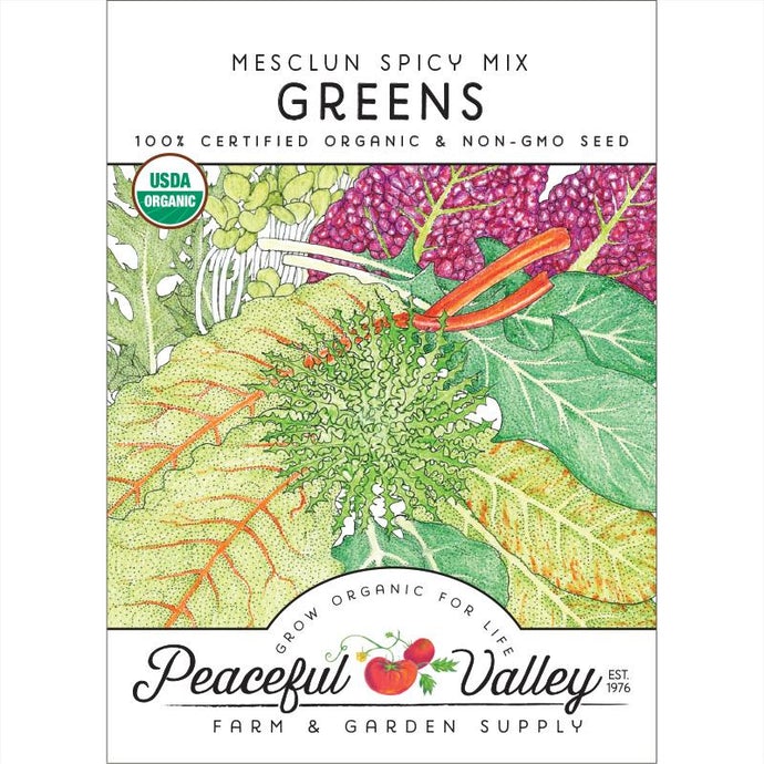  Organic  Greens  Mesclun  Spicy  Mix-pack 