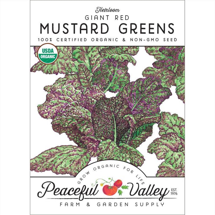  Organic  Greens  Mustard  Giant  Red-pack 