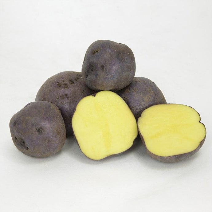 Organic Huckleberry Gold Seed Potatoes (lb)