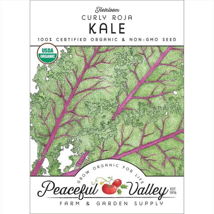 Organic Kale, Curly Roja