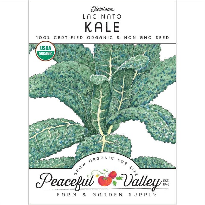  Organic  Kale  Lacinato-pack 