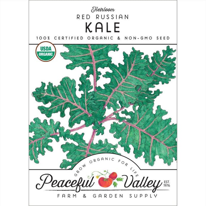  Organic  Kale  Red  Russian-pack 