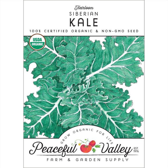  Organic  Kale  Siberian-pack 