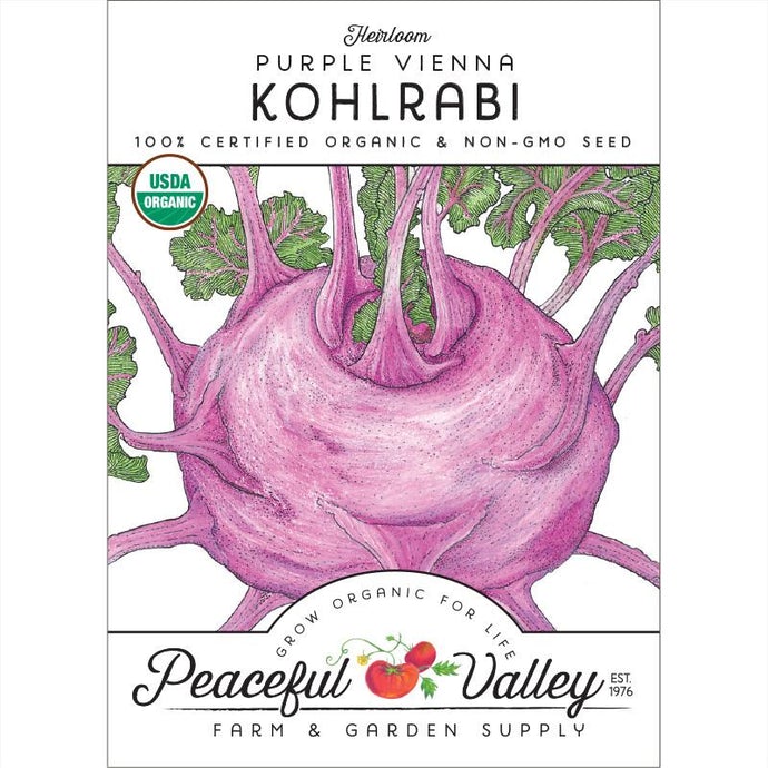 Organic Kohlrabi, Purple Vienna