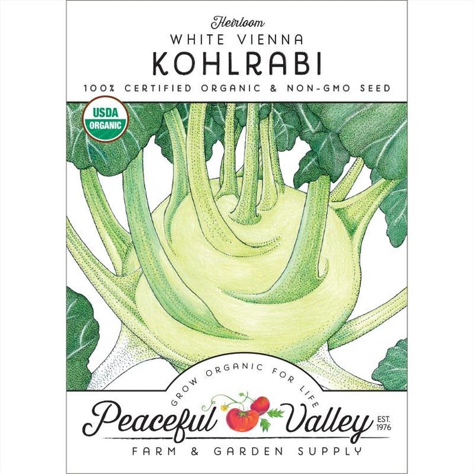 Organic Kohlrabi, White Vienna