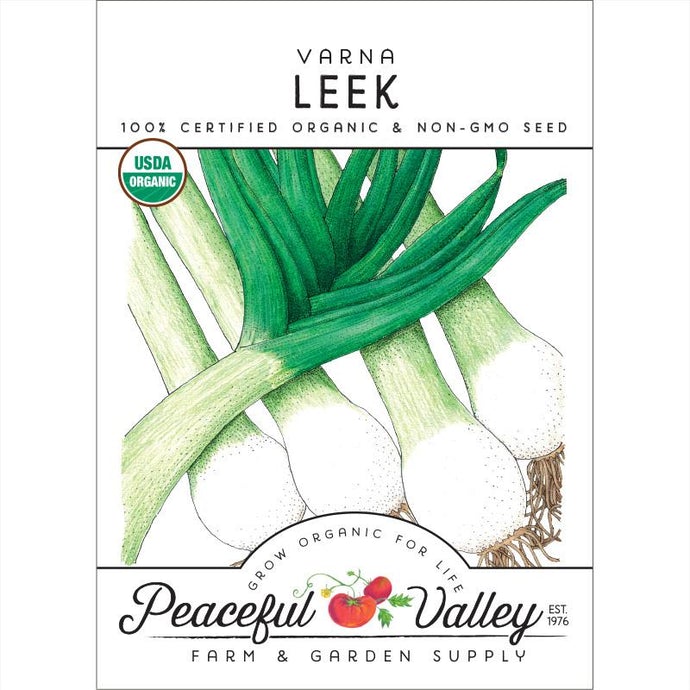 Organic Leek, Varna