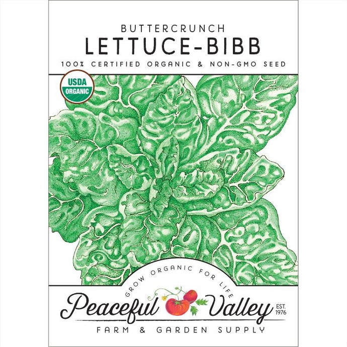  Organic  Lettuce  Buttercrunch-pack 