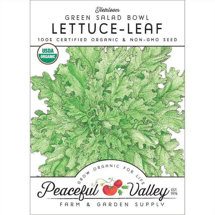  Organic  Lettuce  Green  Salad  Bowl-pack 