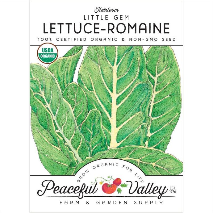  Organic  Lettuce  Little  Gem-pack 