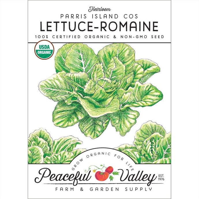  Organic  Lettuce  Parris  Island  Cos-pack 