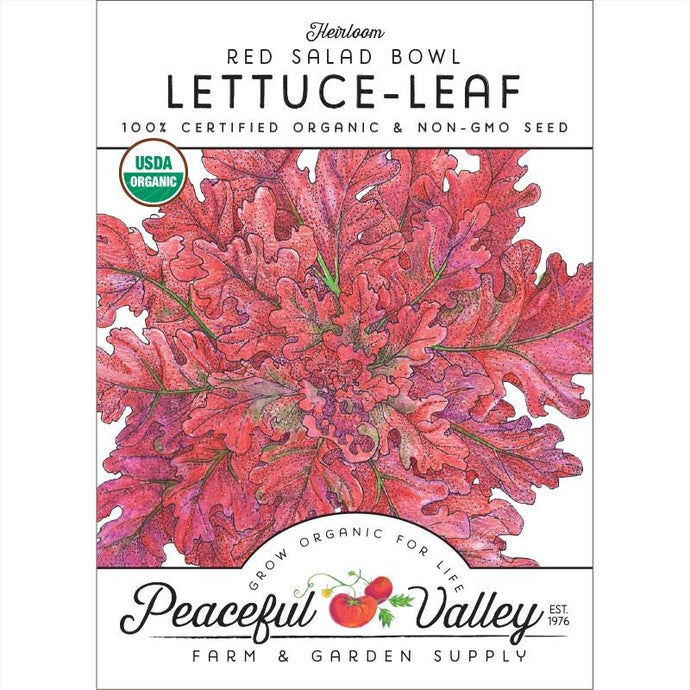  Organic  Lettuce  Red  Salad  Bowl-pack 