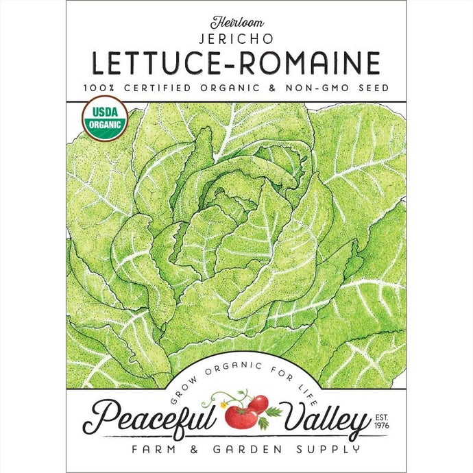 Organic Lettuce, Romaine, Jericho