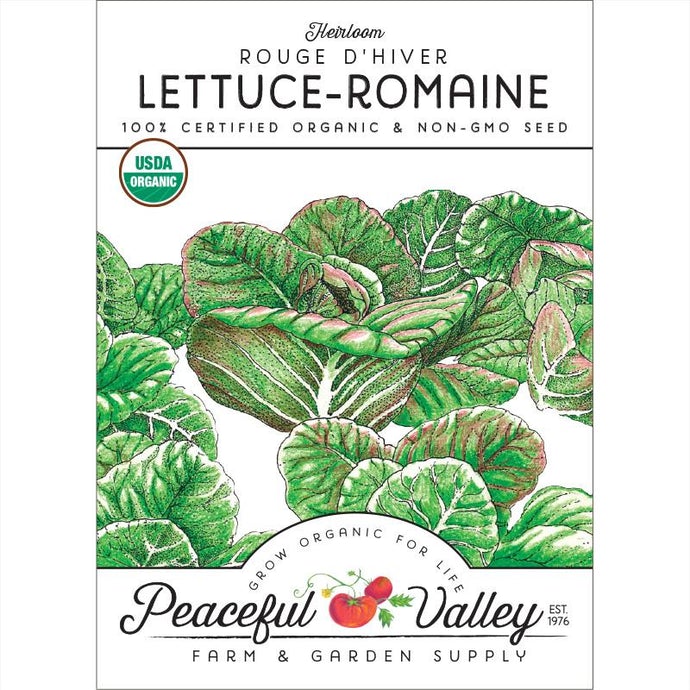  Organic  Lettuce  Rouge  D'Hiver-pack 