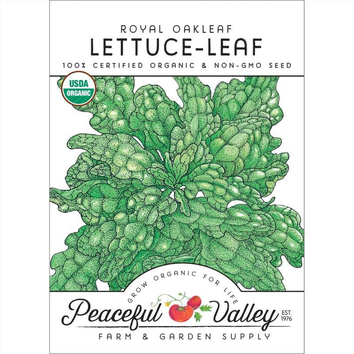  Organic  Lettuce  Royal  Oakleaf-pack 