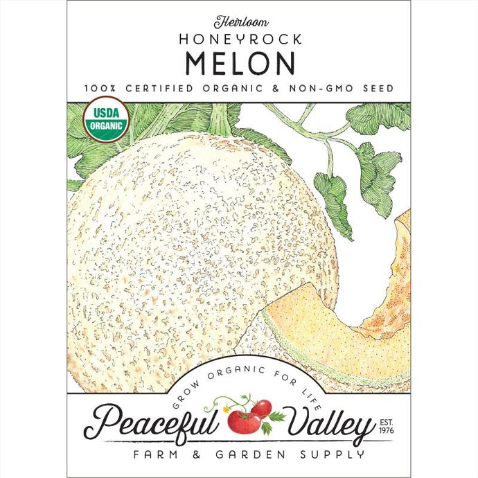 Organic Melon, Honeyrock