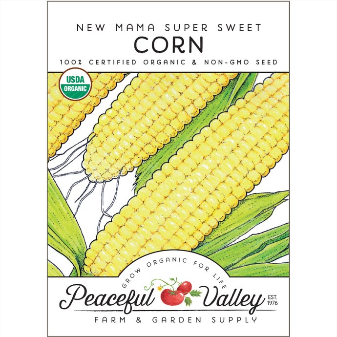 Organic Corn, New Mama Super Sweet