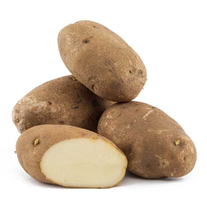 Organic Norkotah Russet Seed Potatoes (lb)