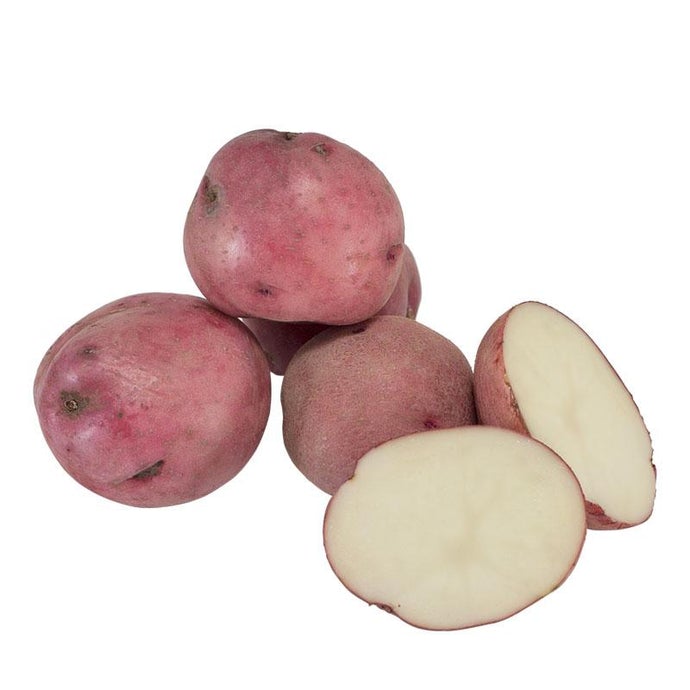 Organic Norland Red Seed Potatoes (lb)