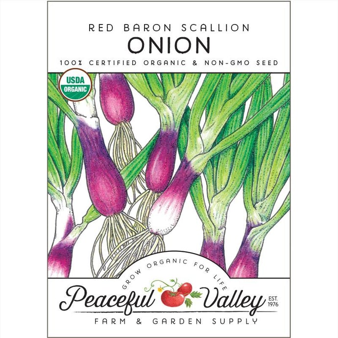  Organic  Onion  Red  Baron  Scallion 