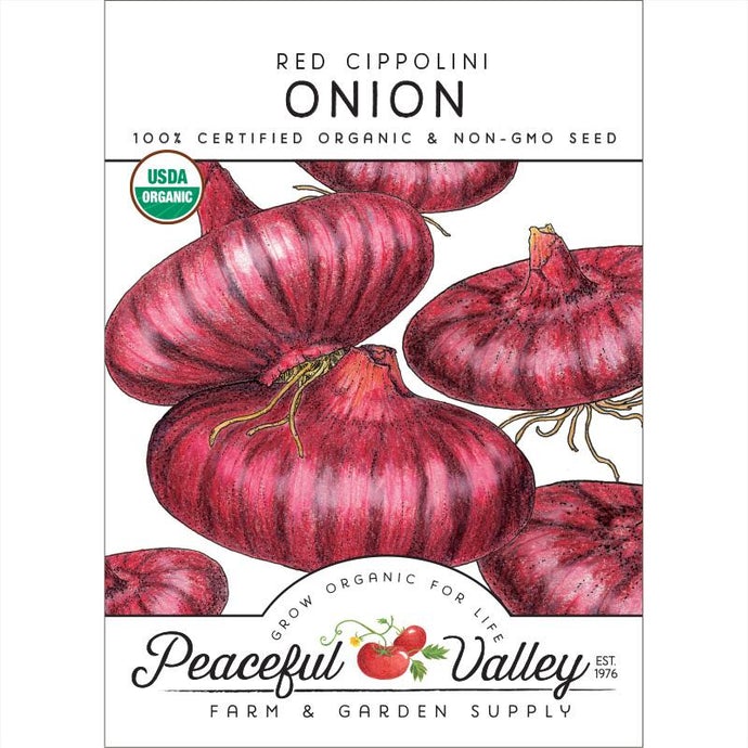 Organic Onion, Red Cippolini