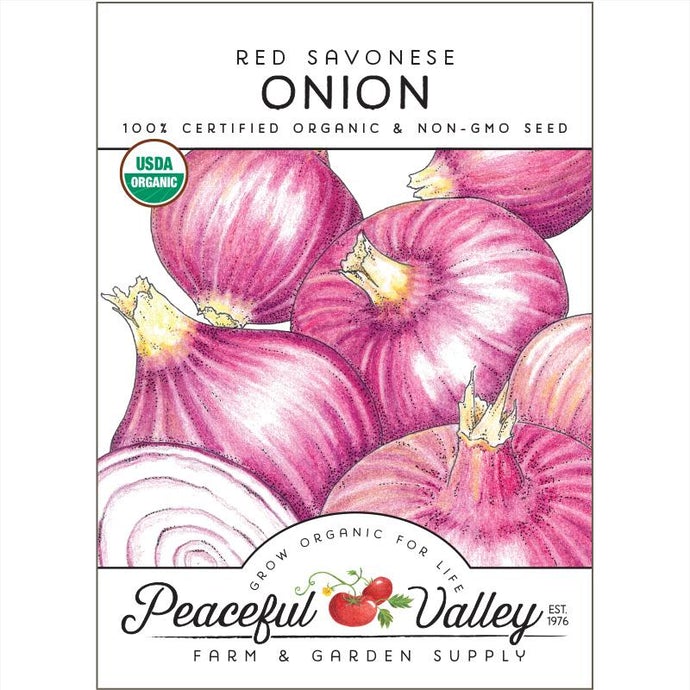  Organic  Onion  Red  Savonese 