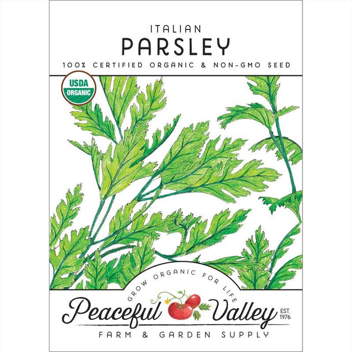  Organic  Parsley  Italian-pack 