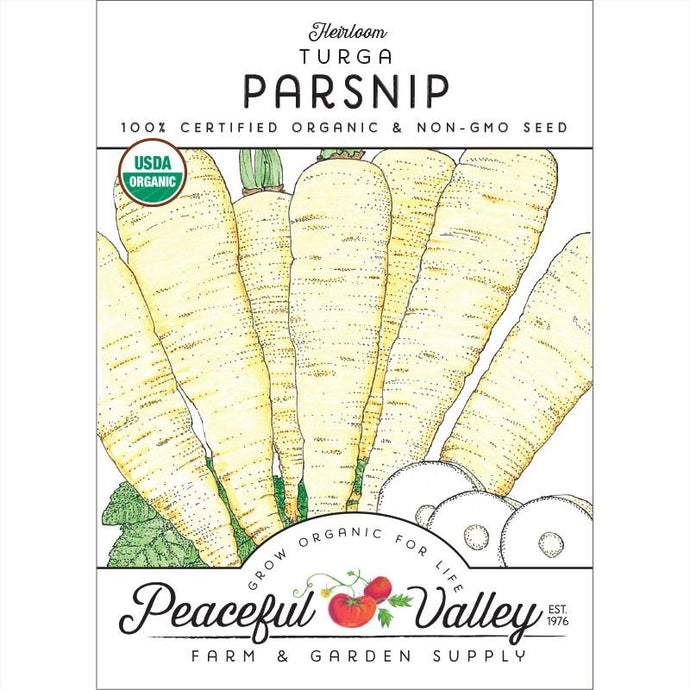 Organic Parsnip, Turga