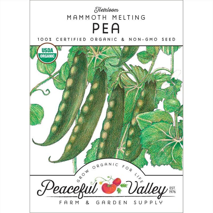  Organic  Pea  Mammoth  Melting-pack 