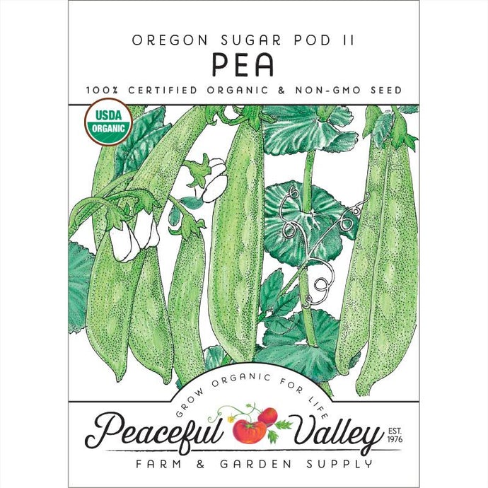  Organic  Pea  Oregon  Sugar  Pod-pack 