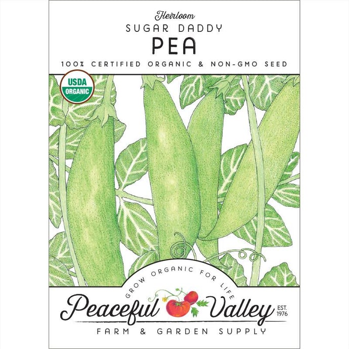 Organic Peas, Sugar Daddy