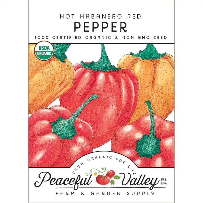  Organic  Pepper  Hot  Habanero  Red 