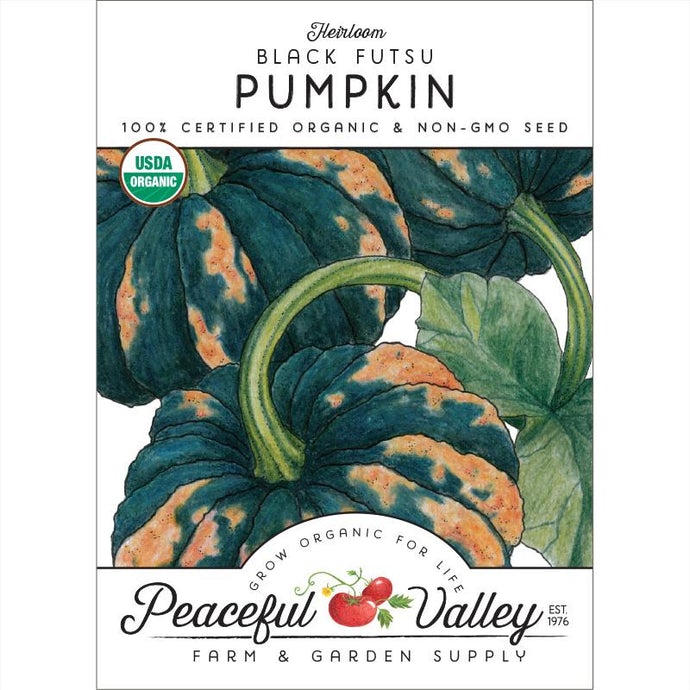 Organic Pumpkin, Black Futsu