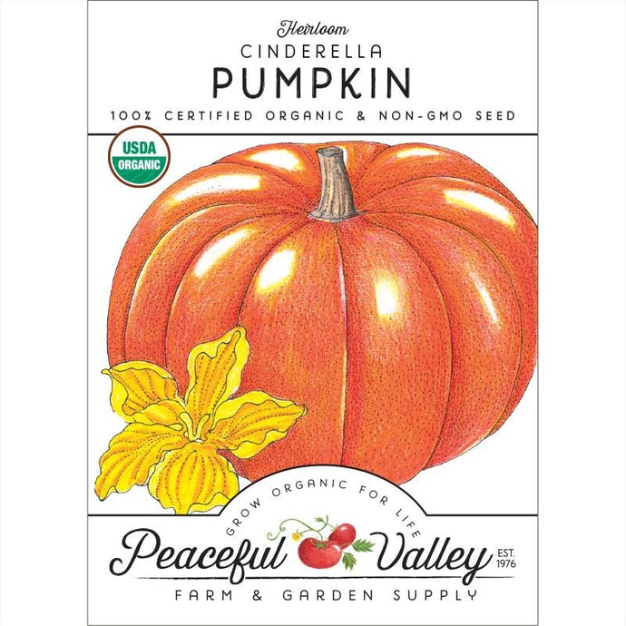  Organic  Pumpkin  Cinderella-pack 